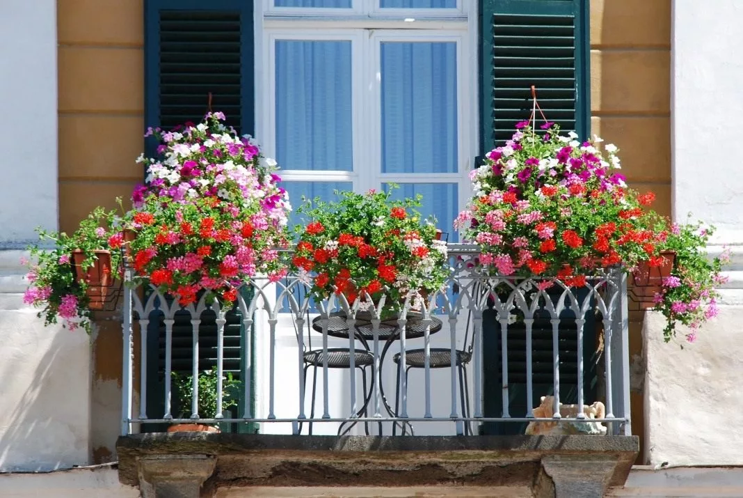 Péče o květiny Balcony-Flowers-03 Jak se starat o květiny v květináčích, aby vzkvétaly celý rok? Tohle potřebujete vědět květináče Dovolená Zalévání květin zdraví  Zálivka Přesazování Květiny květináče Hnojení 