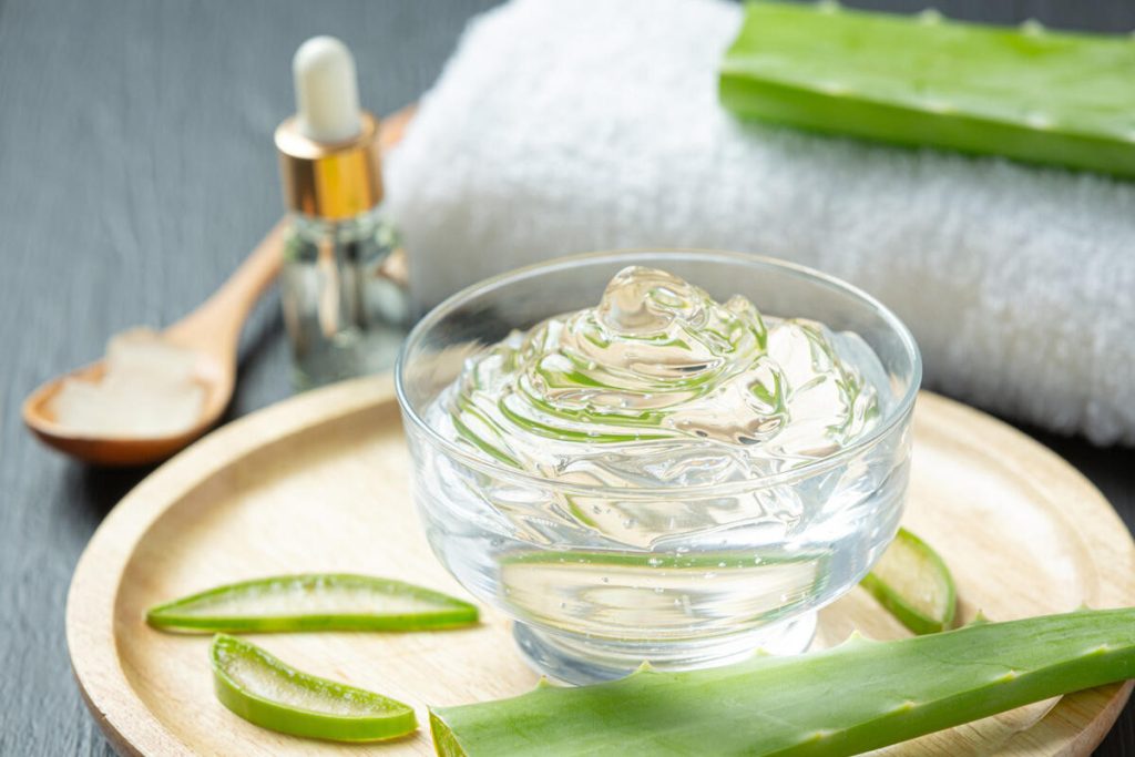 Péče o květiny d4bafe7f045b76f32030e00a9aeffc47-1-1024x683 Aloe Vera – Léčivé Účinky a Jak ji Využít Doma květiny zdraví Pomocník v Domácnosti Léčivé Účinky Květiny Aloe vera aloe Péče o květiny d4bafe7f045b76f32030e00a9aeffc47-1-1024x683 Aloe Vera – Léčivé Účinky a Jak ji Využít Doma květiny zdraví Pomocník v Domácnosti Léčivé Účinky Květiny Aloe vera aloe